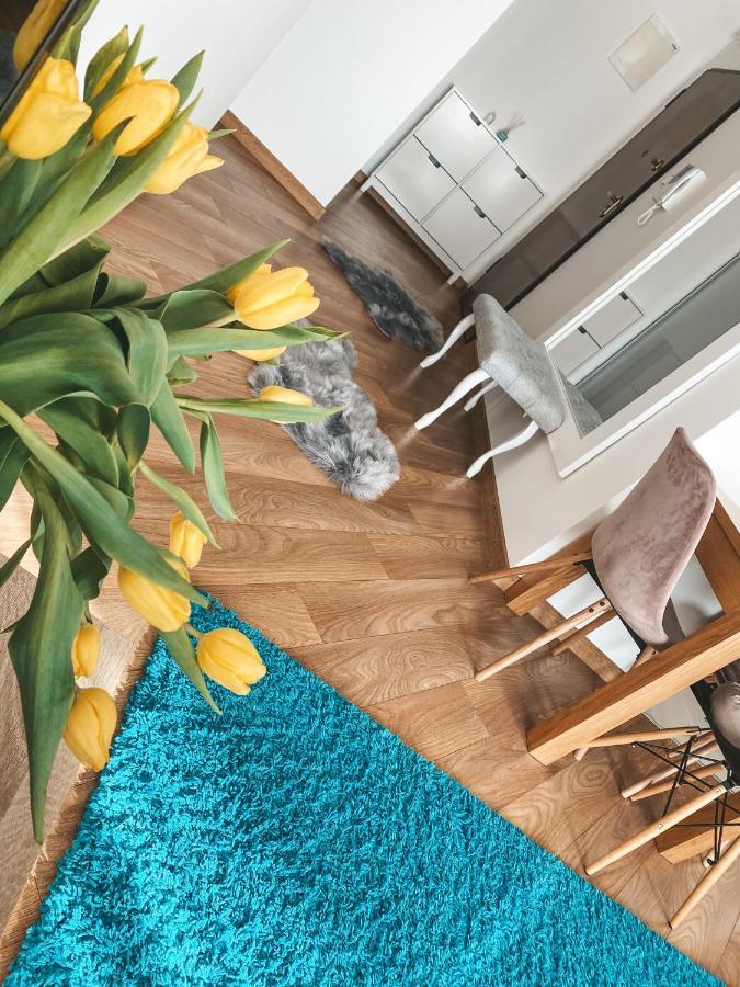 Apartament Solna 80 - Centrum Miasta Z Podziemnym Garazem Кельце Экстерьер фото